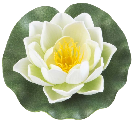 Velda Lotus Foam White 10 cm