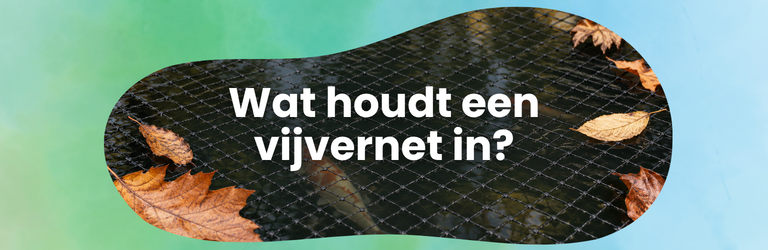 Wat houdt een vijvernet in?