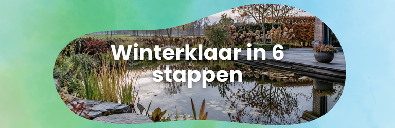 Vijver winterklaar maken: 6 onmisbare stappen