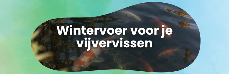 Najaarstip 3 | Wintervoer voor mijn vijvervissen