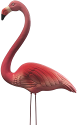 Superfish Flamingo S