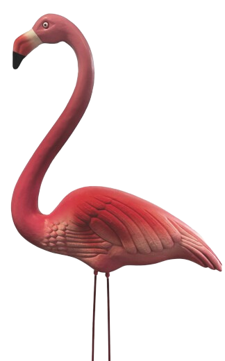 Superfish Flamingo S