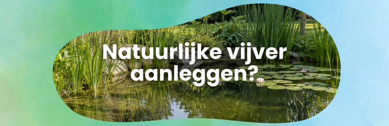 Een natuurlijke vijver aanleggen