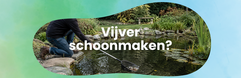 Zo maak je jouw vijver schoon