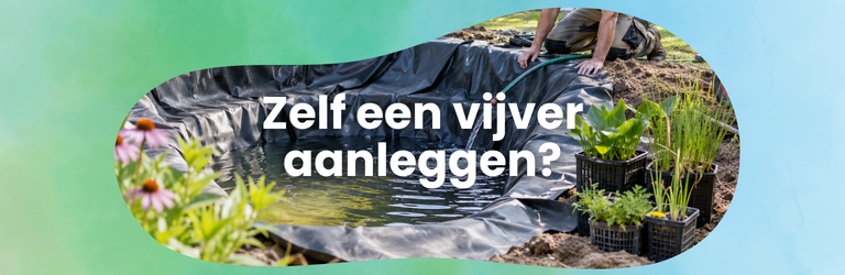 Zelf een vijver aanleggen? Volg dit stappenplan