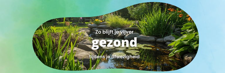 Zo blijft je vijver gezond tijdens je afwezigheid