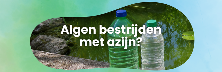 Algen in vijver bestrijden met azijn: slim of onverstandig?