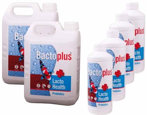 Bactoplus Lacto Health 5,0 Liter