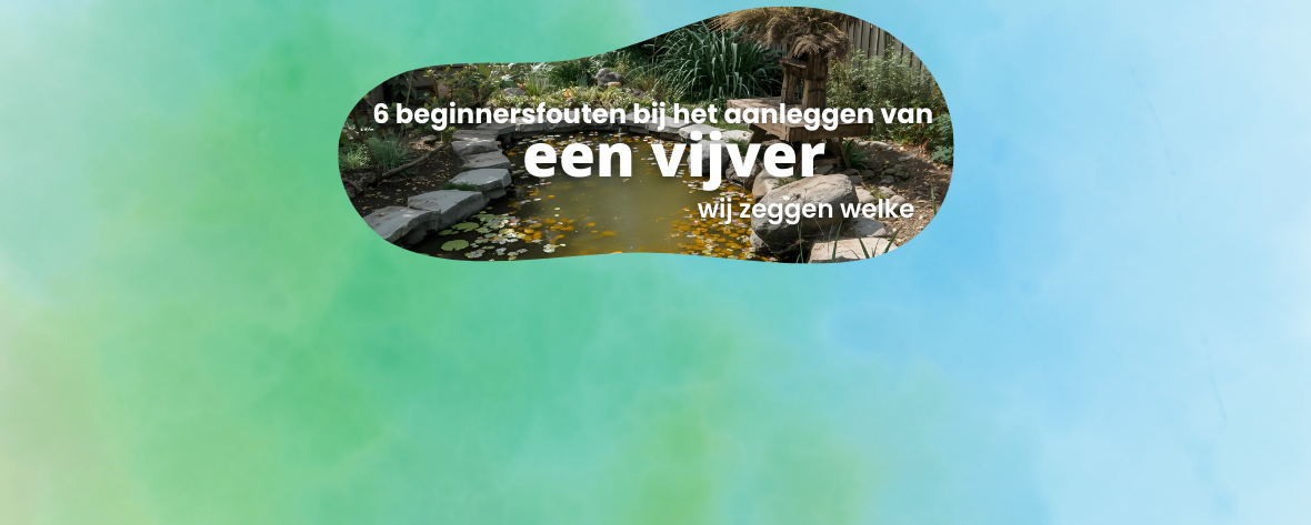 6 veelgemaakte beginnersfouten bij een vijver aanleggen