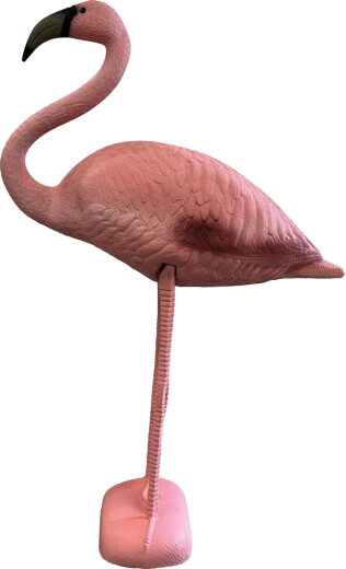 Superfish Flamingo