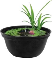 Superfish Medaka Bowl 420