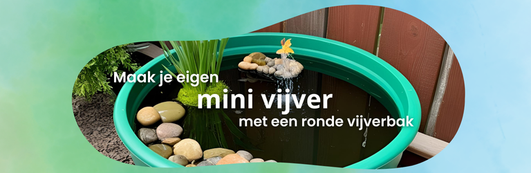 Maak je eigen mini vijver met een ronde vijverbak