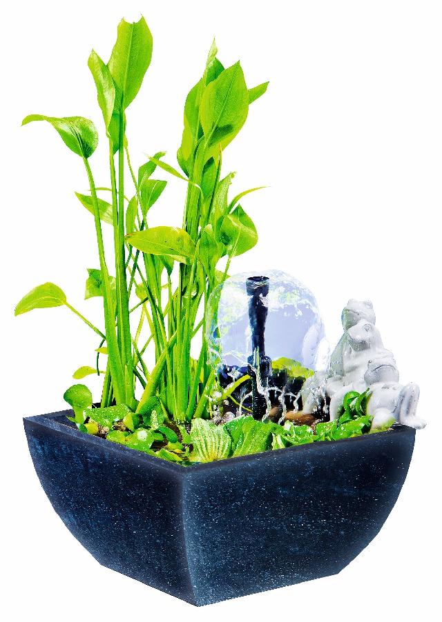 Heissner Watertuin set vierkant zwart