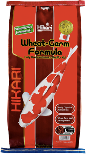 Hikari Wheat Germ Large 10 Kg