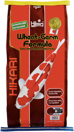 Hikari Wheat Germ Medium 10 kg