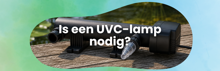 Is een UV- of UVC-lamp nodig voor mijn vijver?