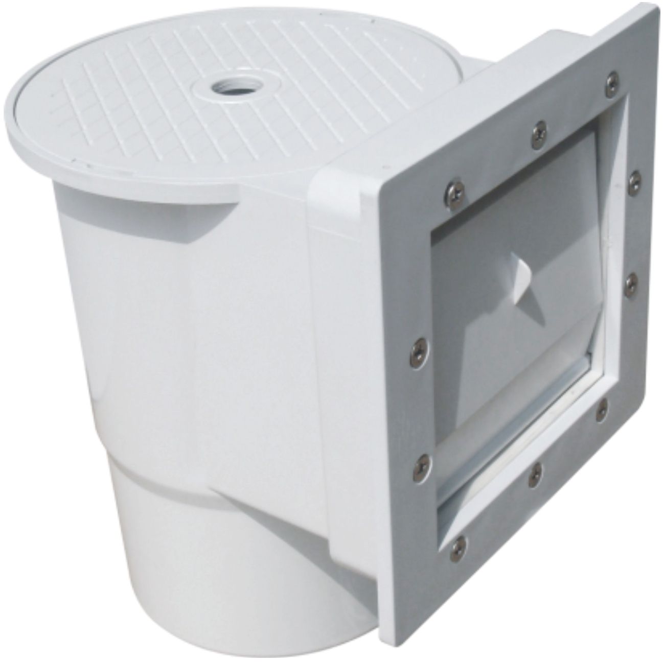 Aquaforte Skimmer voor wand