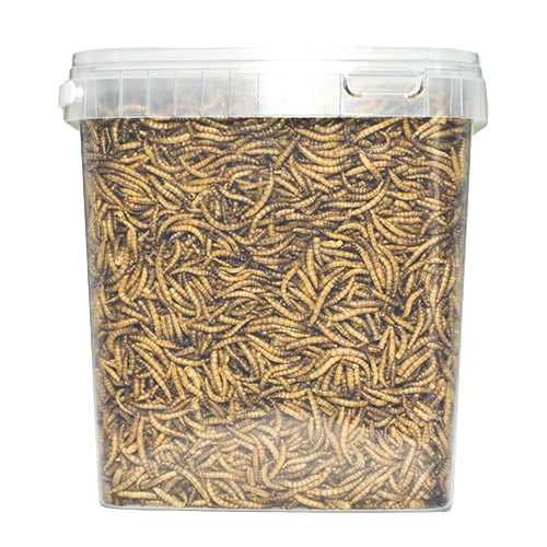 VB Meelwormen - 5 liter