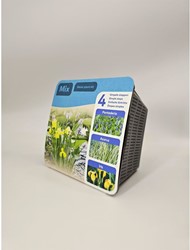 Droogverpakking vijverplant typha