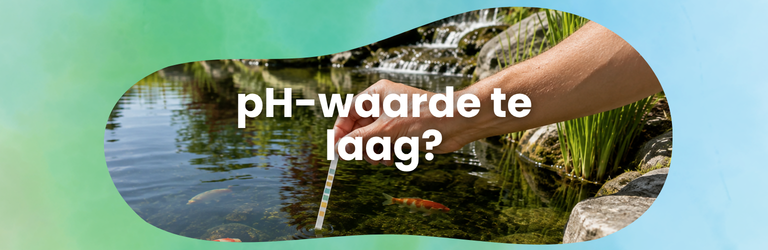 pH-waarde van je vijver te laag? Zo pak je het aan