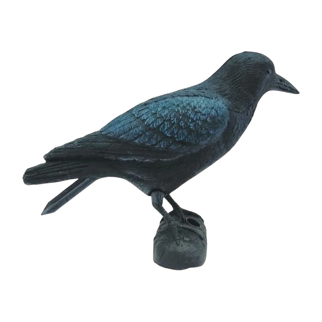 Ubbink kraai
