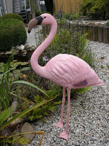 Ubbink Flamingo-3