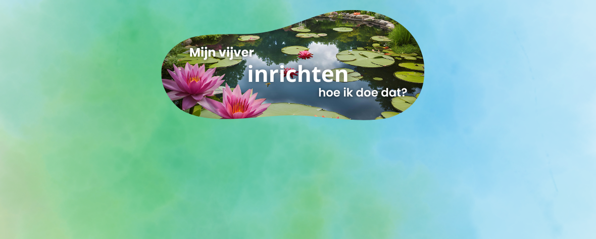 Vijver inrichten, hoe doe ik dat?