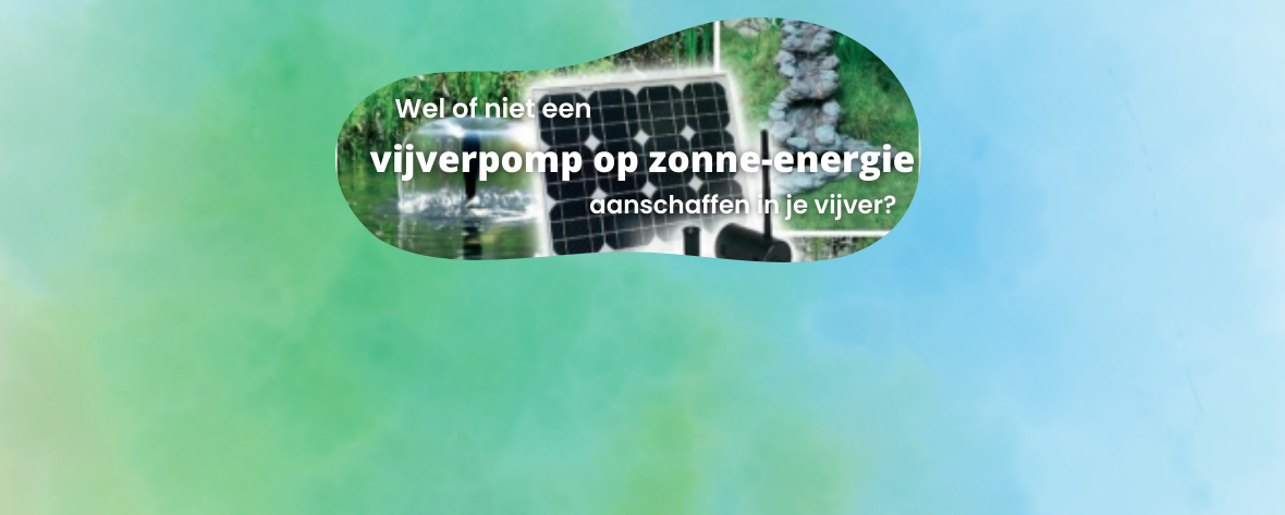 Vijverpomp op zonne-energie wel of niet kopen? 