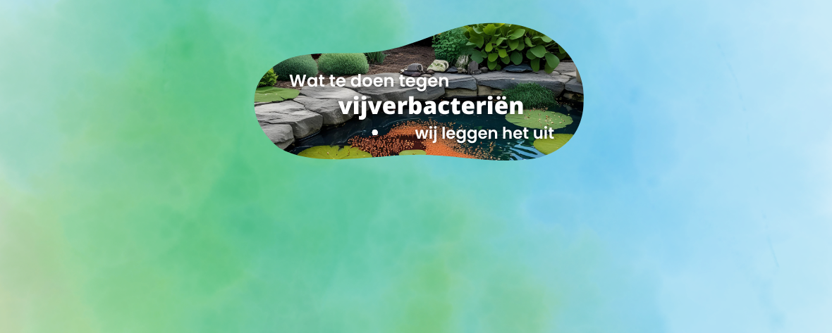 Wat doen vijverbacteriën