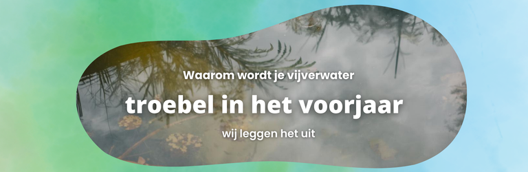 Waarom wordt je vijverwater in het voorjaar troebel?
