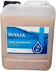 Vivani Melkzuurbacteriën