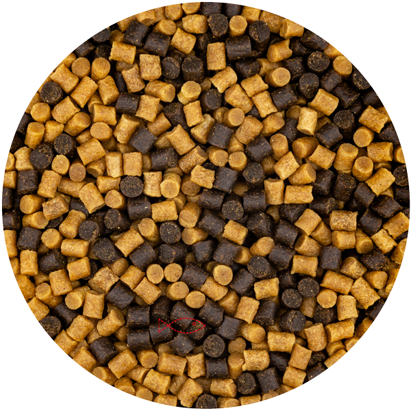 Vivani - Winter Mix - 25 kilo