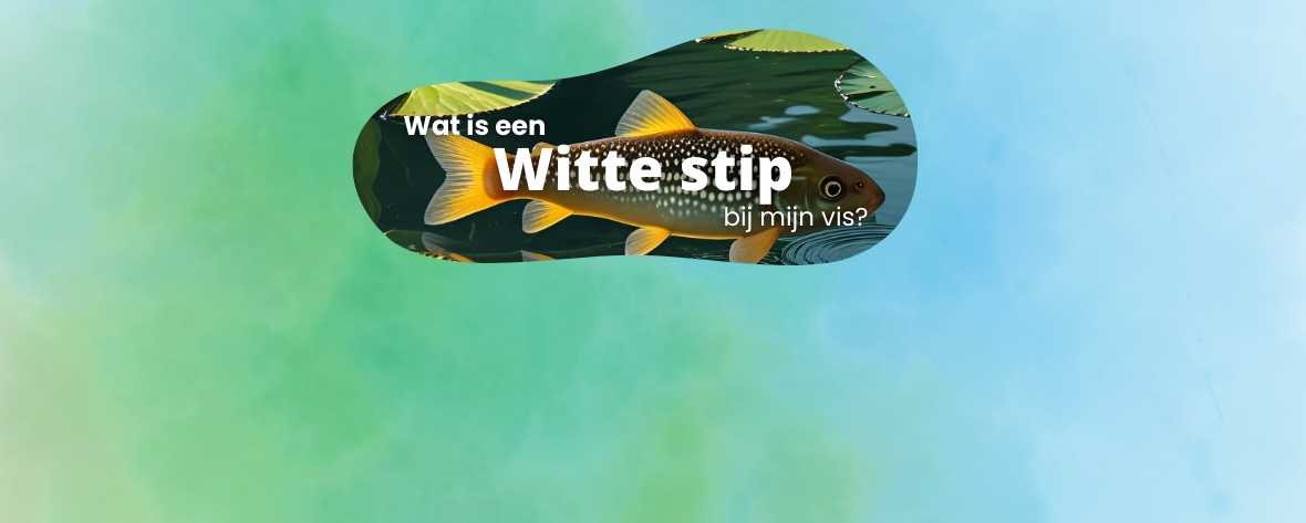 Witte stip bij vissen