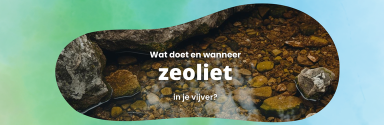 Zeoliet in je vijver: wat doet het tegen ammoniak en wanneer gebruik je het