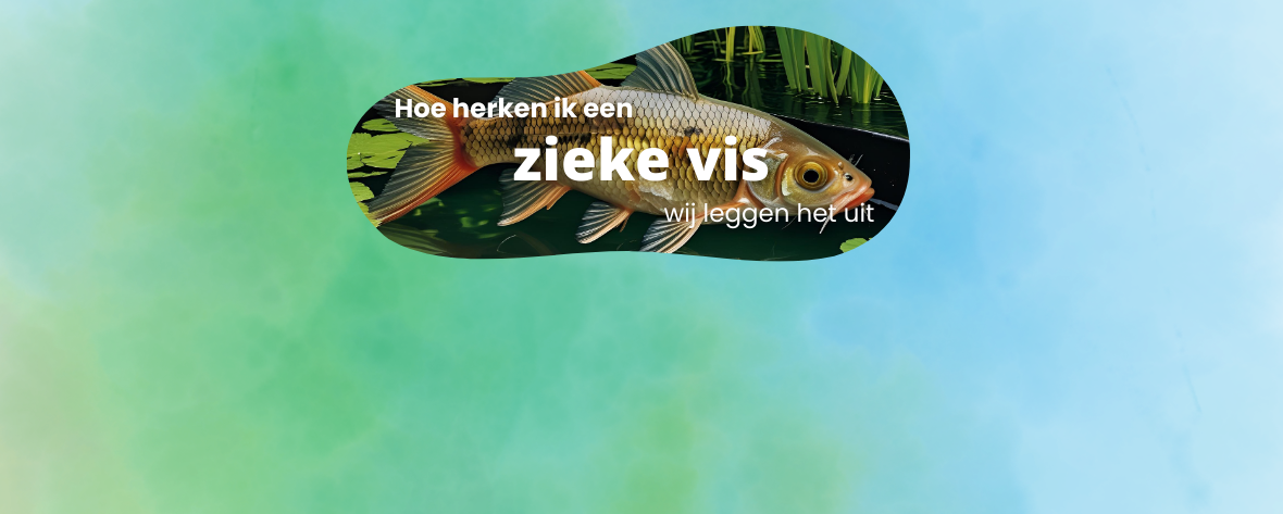Hoe herken ik een zieke vis?