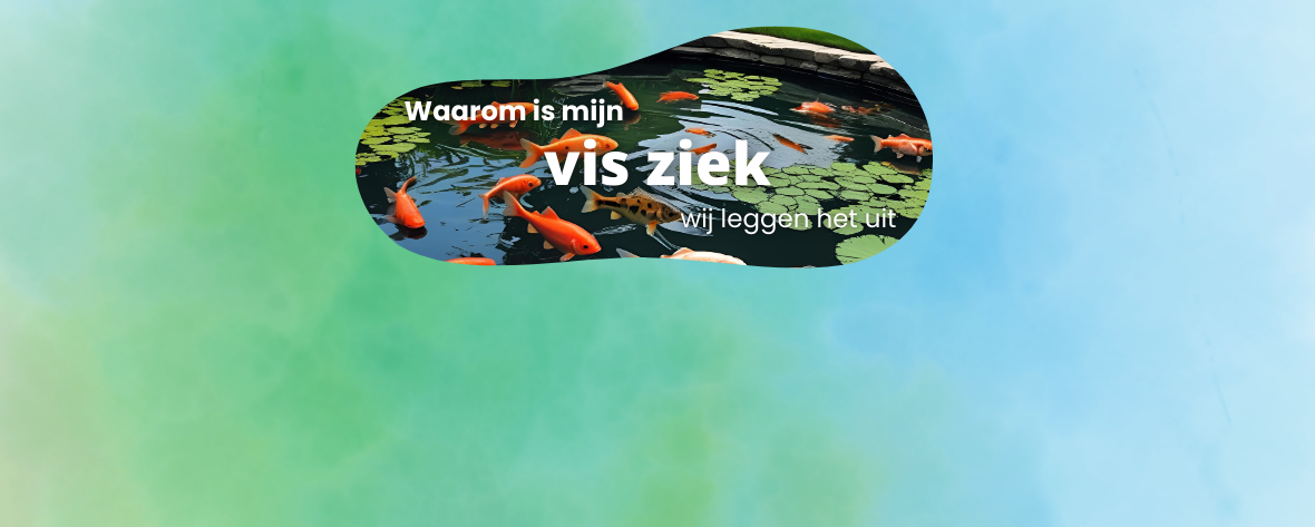 Waarom is mijn vis ziek?