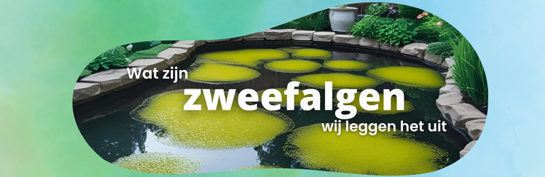 Wat zijn zweefalgen?